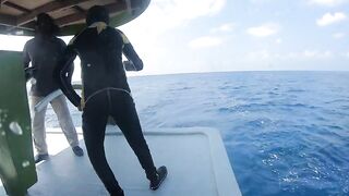 Диффуши район — рыбалка с дони: утренний выход, лёгкий бриз и рифовый брейк