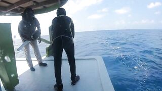 Диффуши район — рыбалка с дони: утренний выход, лёгкий бриз и рифовый брейк