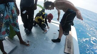 Диффуши район — рыбалка с дони: маршрут вдоль кромки рифа и точные забросы