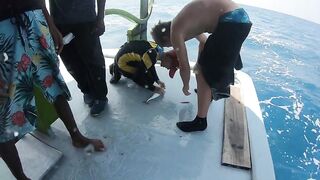 Диффуши район — рыбалка с дони: маршрут вдоль кромки рифа и точные забросы