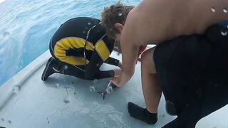 Диффуши район — рыбалка с дони: как готовили трофеи на берегу после выхода