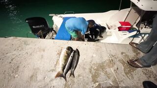 Сумеречная рыбалка на Гулхи за 20$ – самый крупный трофей дня