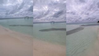 Гулхи с берега – косяк у самой кромки и быстрое вываживание