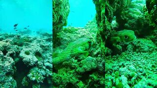 Gulhi остров Мальдивы прогулка по деревне и мысли о рыбалке завтра