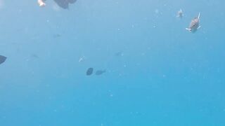 Guraidhoo, Maldives: travel заметки и где искать снасти и лодки