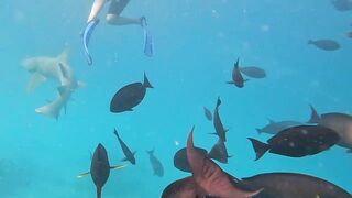 Guraidhoo, Maldives: travel заметки и где искать снасти и лодки