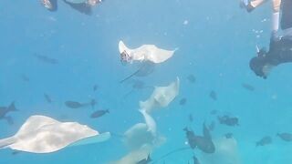 Guraidhoo, Maldives: travel заметки и где искать снасти и лодки