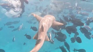 Guraidhoo, Maldives: travel заметки и где искать снасти и лодки