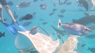 Guraidhoo, Maldives: travel заметки и где искать снасти и лодки