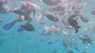 Guraidhoo, Maldives: travel заметки и где искать снасти и лодки