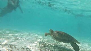 Guraidhoo, Maldives: travel заметки и где искать снасти и лодки