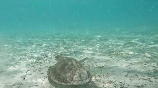 Guraidhoo, Maldives: travel заметки и где искать снасти и лодки