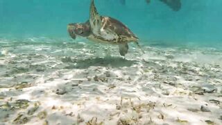 Guraidhoo, Maldives: travel заметки и где искать снасти и лодки