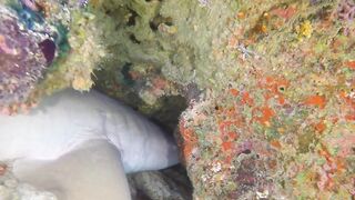 Guraidhoo — дайв с Manta Divers, где рядом половить с берега?