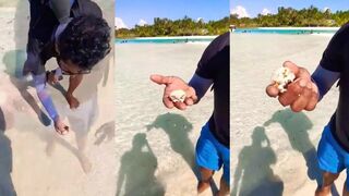 Жизнь ракушек на Гурайду – мелкая отмель, крабы и следы на песке