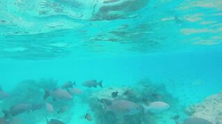 Rasdhoo Sand Bank — рыбки у косы, где лучше со снорком и удочкой?