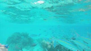 Rasdhoo Sand Bank — рыбки у косы, где лучше со снорком и удочкой?