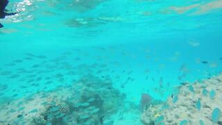 Rasdhoo Sand Bank — рыбки у косы, где лучше со снорком и удочкой?