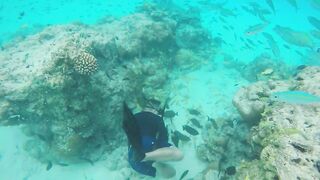 Rasdhoo Sand Bank — рыбки у косы, где лучше со снорком и удочкой?