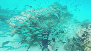 Rasdhoo Sand Bank — рыбки у косы, где лучше со снорком и удочкой?