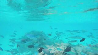 Rasdhoo Sand Bank — рыбки у косы, где лучше со снорком и удочкой?