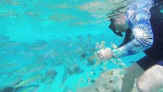 Rasdhoo Sand Bank — рыбки у косы, где лучше со снорком и удочкой?