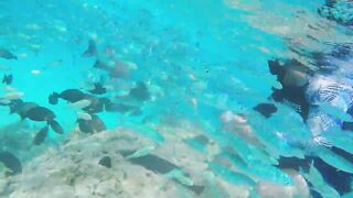 Rasdhoo Sand Bank — рыбки у косы, где лучше со снорком и удочкой?