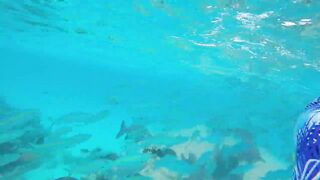 Rasdhoo Sand Bank — рыбки у косы, где лучше со снорком и удочкой?