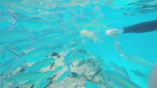 Rasdhoo Sand Bank — рыбки у косы, где лучше со снорком и удочкой?