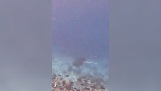 Большой скат у Расду – плавная траектория и тень над песком