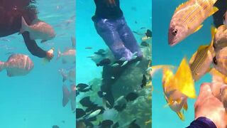 Маленький риф у Расду – рыбки в просветах и мягкая волна