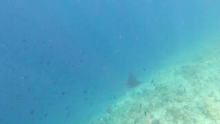 Rasdhoo отдых на локальном острове, где рыбалка проще и дешевле?