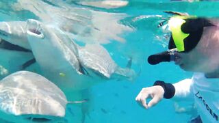 Rasdhoo отдых на локальном острове, где рыбалка проще и дешевле?