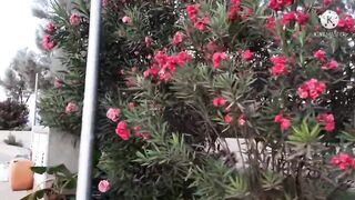 Ayia Triada, Paralimni — маленькая рыбацкая гавань и причал