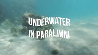 Paralimni Under The Sea, Cyprus — подводный мир и рифовая тропа