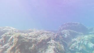 Paralimni Under The Sea, Cyprus — подводный мир и рифовая тропа