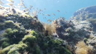 Paralimni Under The Sea, Cyprus — подводный мир и рифовая тропа