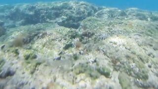 Paralimni Under The Sea, Cyprus — подводный мир и рифовая тропа