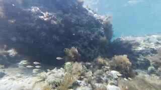 Paralimni Under The Sea, Cyprus — подводный мир и рифовая тропа