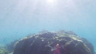 Paralimni Under The Sea, Cyprus — подводный мир и рифовая тропа