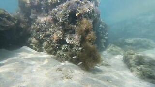 Paralimni Under The Sea, Cyprus — подводный мир и рифовая тропа