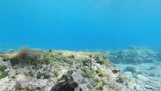 Paralimni Under The Sea, Cyprus — подводный мир и рифовая тропа