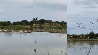 Фамагуста с фламинго: лагуны, перспективы курорта и мартовские кадры