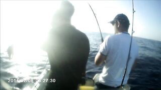 Famagusta Bay — охота на альбакора, как ищут косяки у Кипра