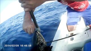 Famagusta Bay — охота на альбакора, как ищут косяки у Кипра