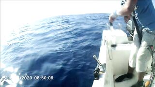 Famagusta Bay — охота на альбакора, как ищут косяки у Кипра