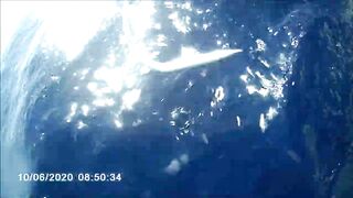 Famagusta Bay — охота на альбакора, как ищут косяки у Кипра