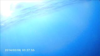 Famagusta Bay — охота на альбакора, как ищут косяки у Кипра