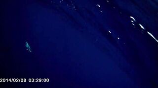 Famagusta Bay — охота на альбакора, как ищут косяки у Кипра