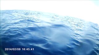 Famagusta Bay — охота на альбакора, как ищут косяки у Кипра